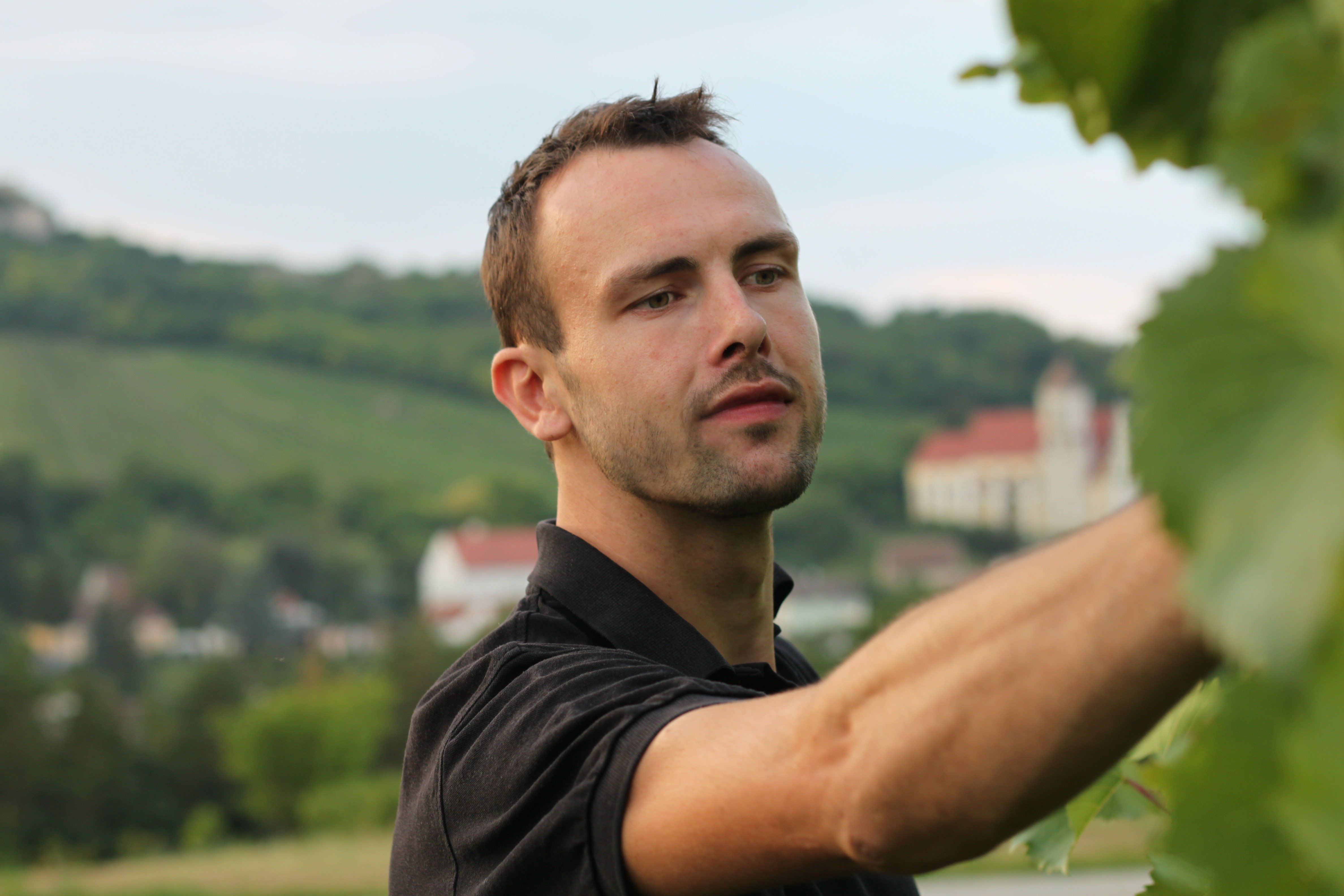 Muž na vinici kontroluje hrozny a v pozadí je malebná krajina.