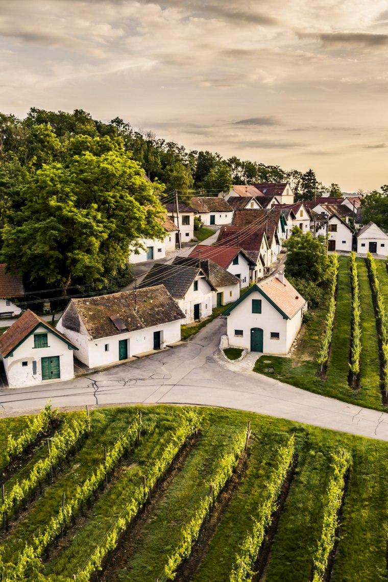 Vinařství se zde pěstuje již po staletí., © Niederösterreich Werbung/Robert Herbst