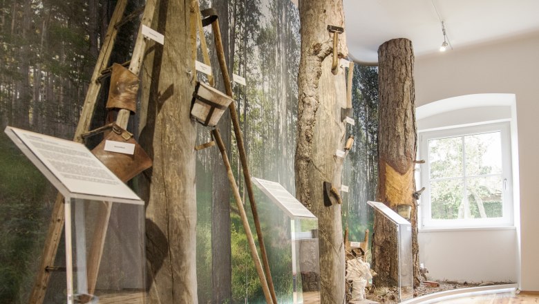 Pitch Museum, &copy; Corinna Pernitsch