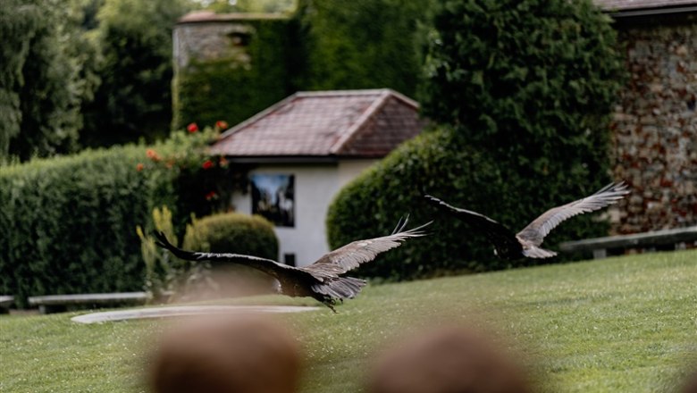 76_W4_Jugend_Stauseefischer&SchlossWaldreichs_WEB_A30A2839 &copy; Waldviertel Tourismus, Matthias Streibel, &copy; Waldviertel Tourismus, Matthias Streibel