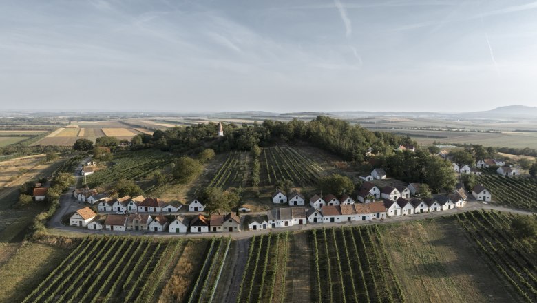Wildendürnbach_Kellergasse Galgenberg_Radfahren(c)WTG_Frühmann (14), © Weinviertel Tourismus / Frühmann
