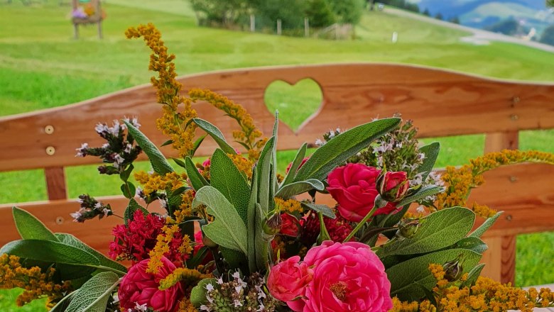 V&yacute;hled z banky domu, &copy; Melanie Schweighuber