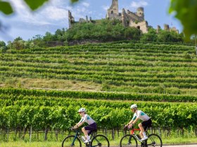 Kolem zř&iacute;ceniny Senftenberg, &copy; Donau N&Ouml;/Mara Hohla