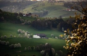 Photo point St. Michael South, © schwarz-koenig.at