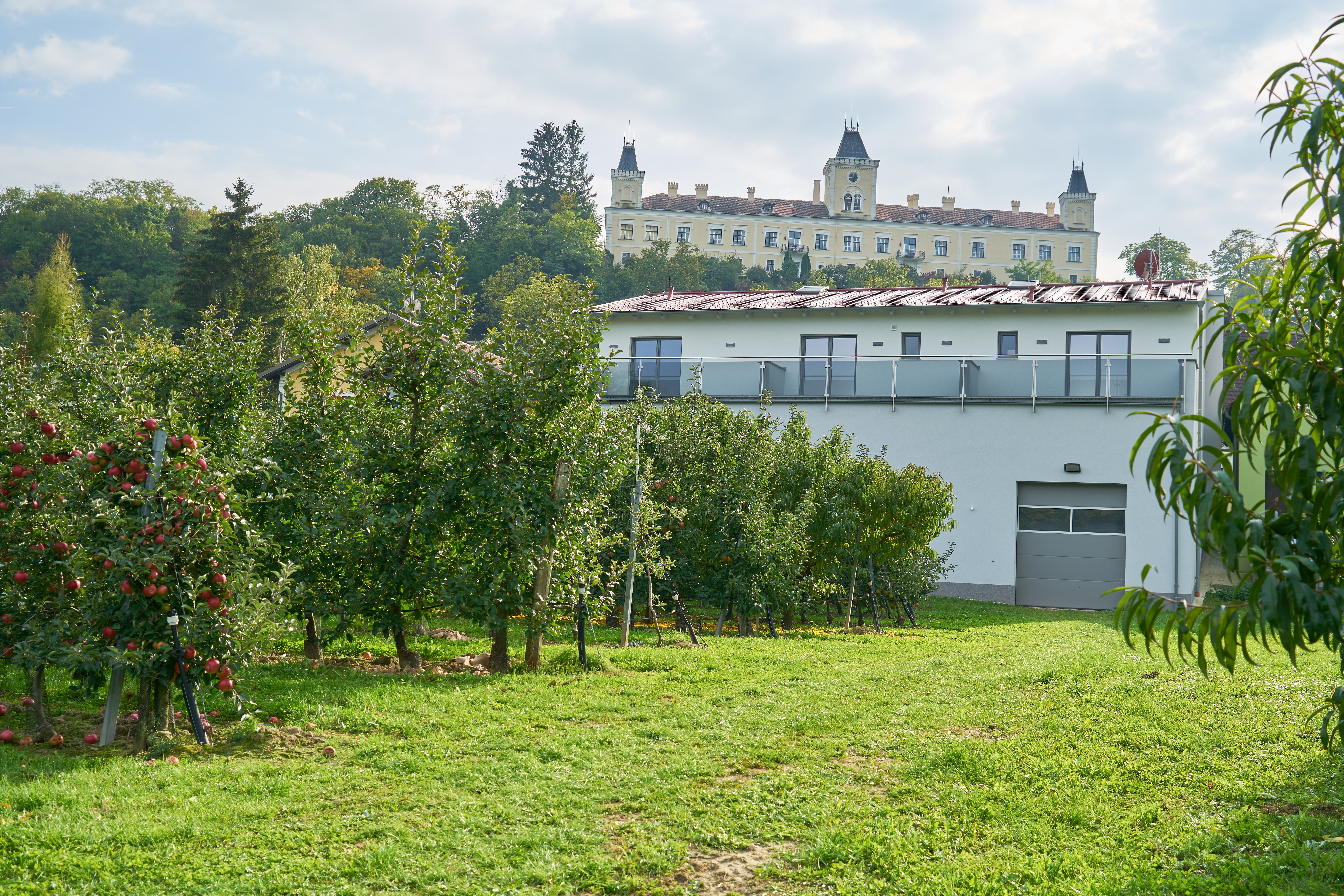 Zámek Wolfsberg v pozadí se sadem v popředí.