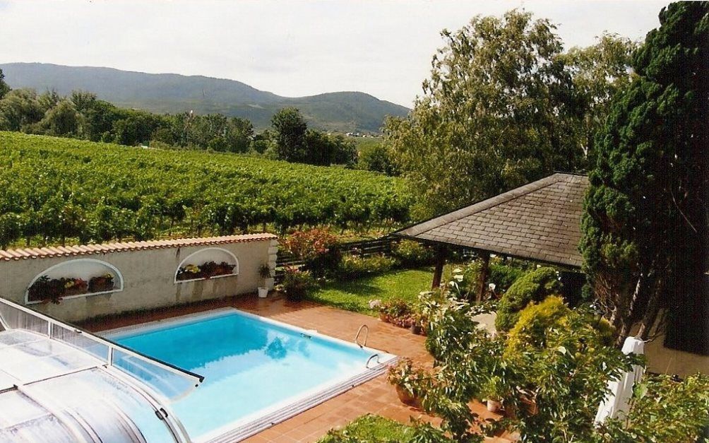 Zahrada s bazénem, pavilonem a vinicemi v pozadí.