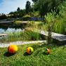 schwimmbiotop2, © C Appartement Wistrcil Stellfeld, Martina Stellfeld