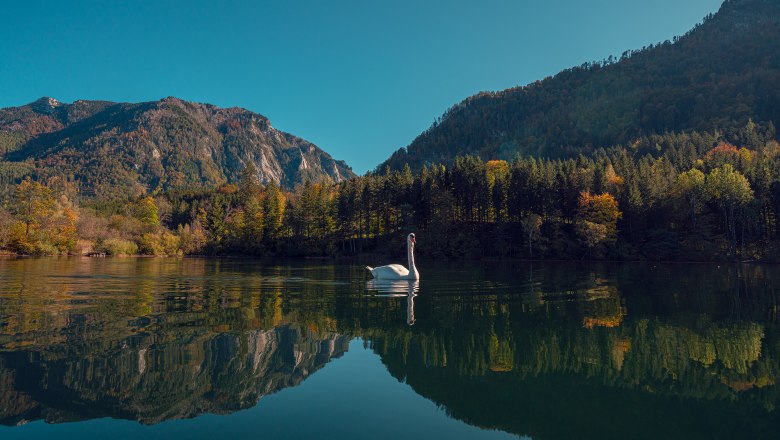 With a view of the only natural lake in Lower Austria, &copy; Schlosstaverne Lunz/Martin Stellnberger