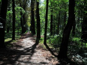 Durch die Stockerauer Au, &copy; Weinviertel Tourismus / Mandl