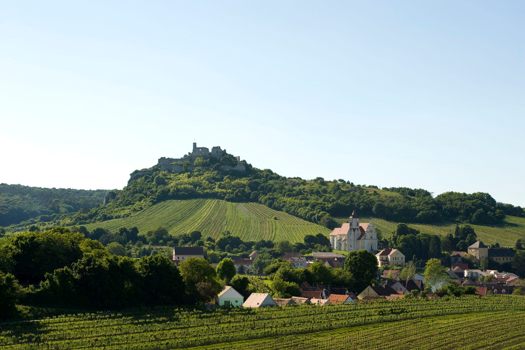 Krajina s hradem na kopci, vinicemi a vesnicí v popředí.