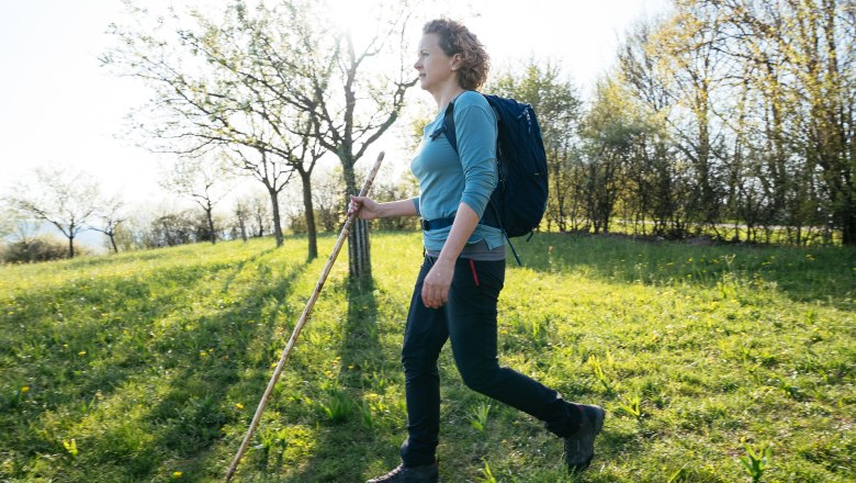 Na cestě v&scaron;&iacute;mavosti, &copy; Daniel Gollner