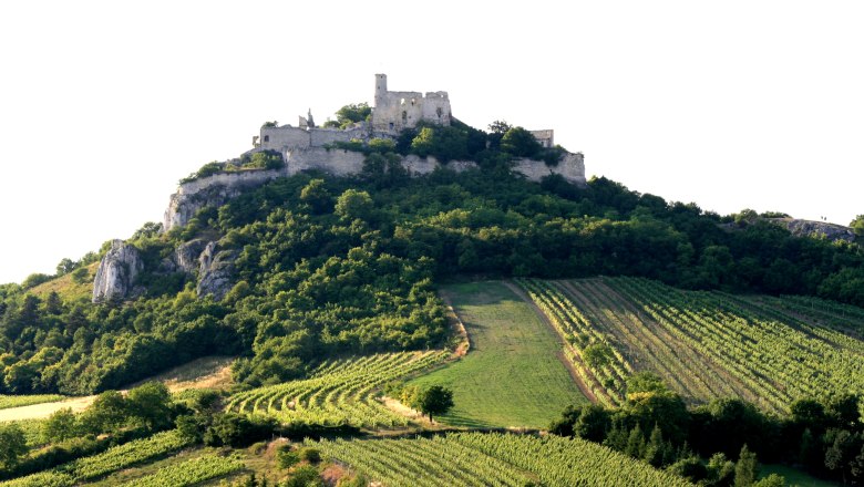 Burgruine Falkenstein(c)Weinort Falkenstein, &copy; Weinort Falkenstein