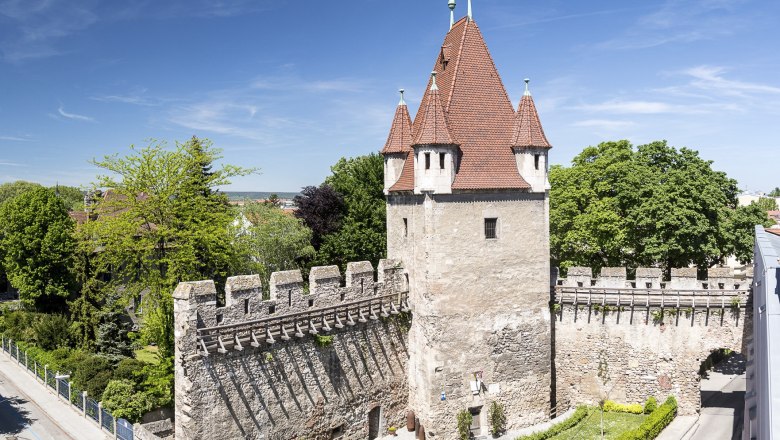 Privatmuseum "Feuerwaffen einst und jetzt" im Reckturm, © Wiener Alpen, Foto: Franz Zwickl