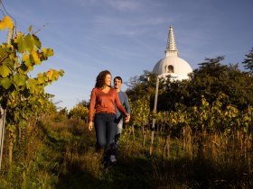 P&aacute;r na proch&aacute;zce vinicemi, st&uacute;pa v pozad&iacute;