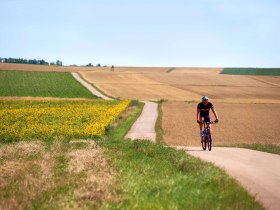 Auf den Feldwegen durch Weinviertel, © Weinviertel Tourismus / Schreiner