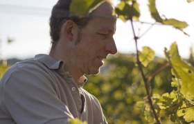 ... at work, &copy; Theresa Plos