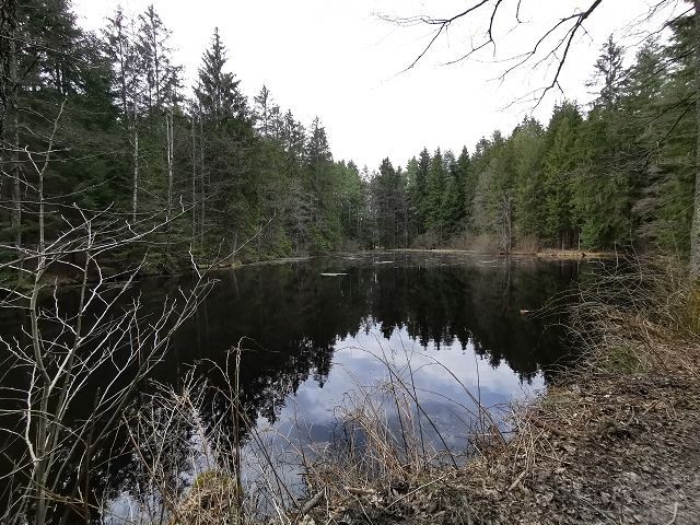 Černý rybník