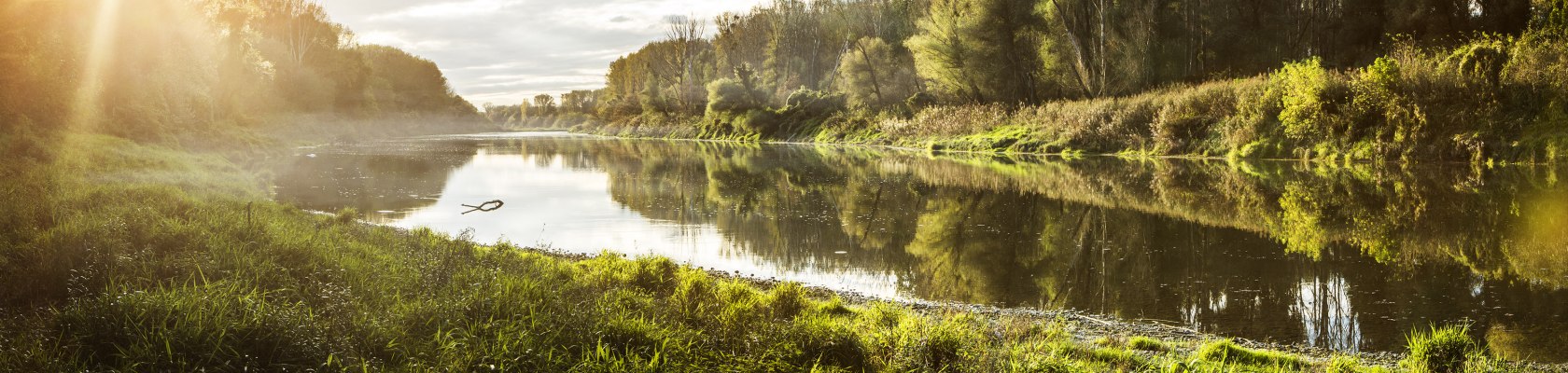 Národní park Donau-Auen (Dunajské luhy), © Michael Liebert