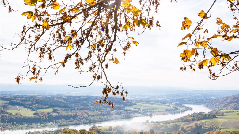 Panoramic view of the Danube valley, © Hotel Schachner