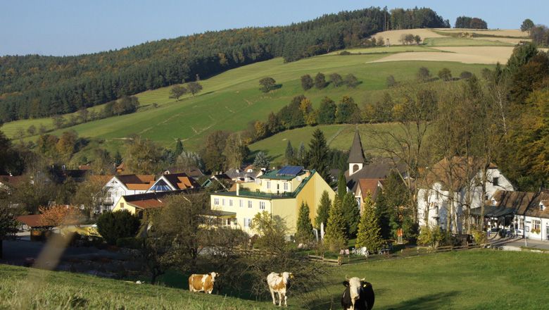 Venkovská scéna s kravami na louce, vesnice v pozadí, obklopená kopci a lesy.
