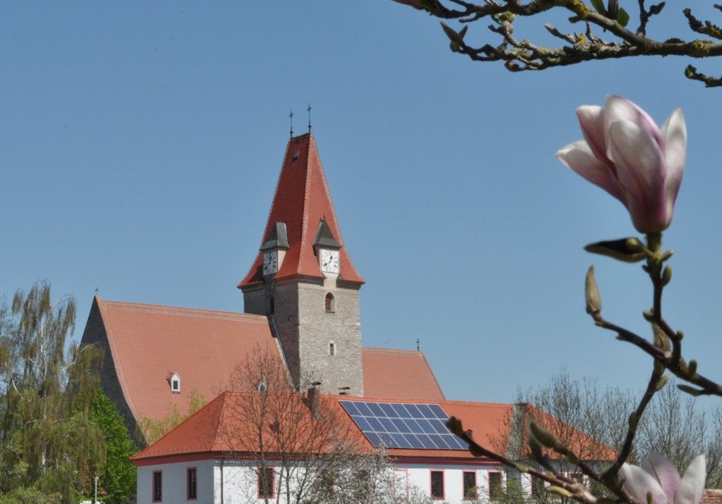 Kostel s červenou střechou a věží s hodinami, modrá obloha, v popředí květ magnólie.