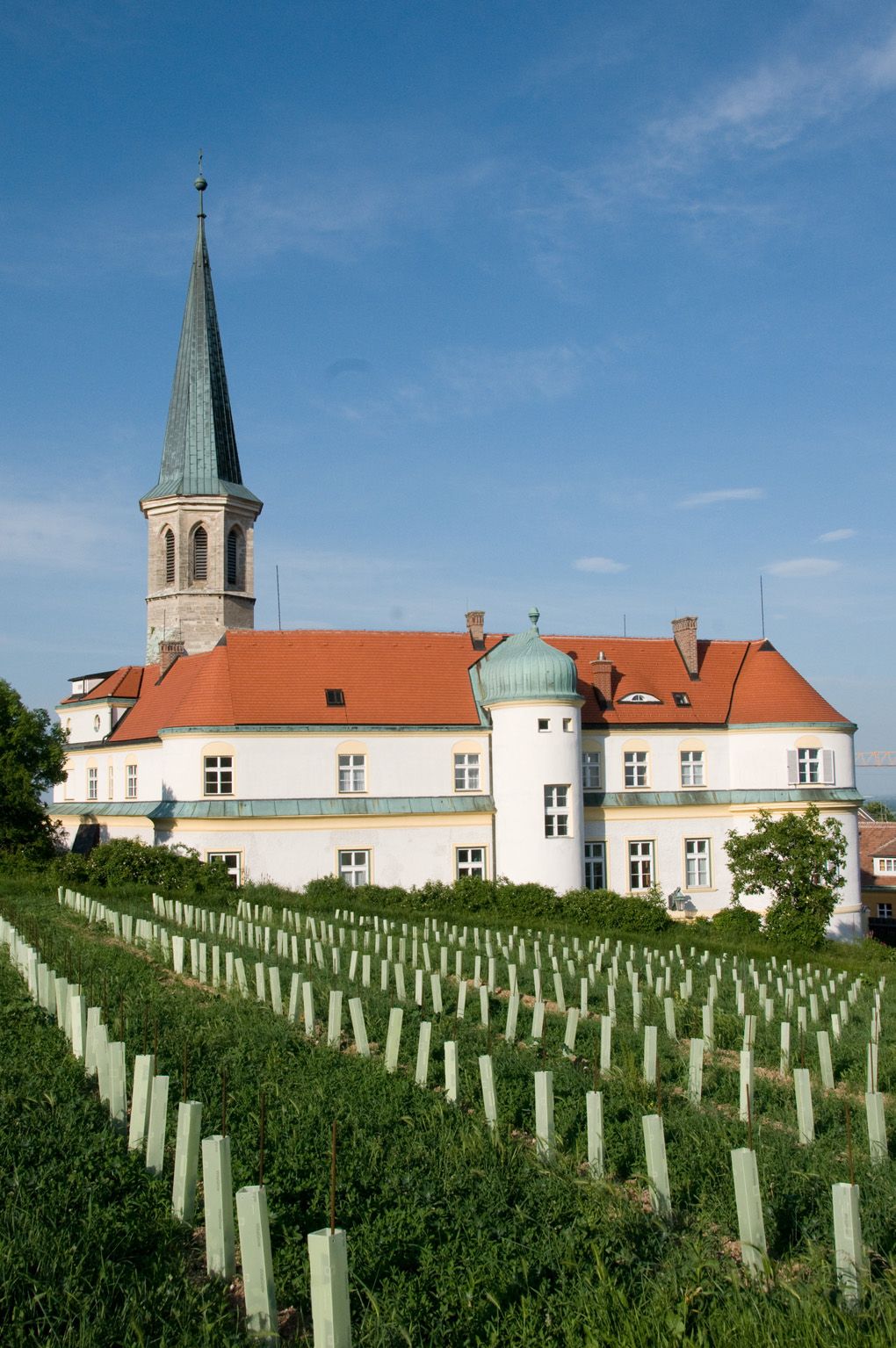 Hrad Gumpoldskirchen s červenou střechou a věží, obklopený vinicemi pod modrou oblohou.