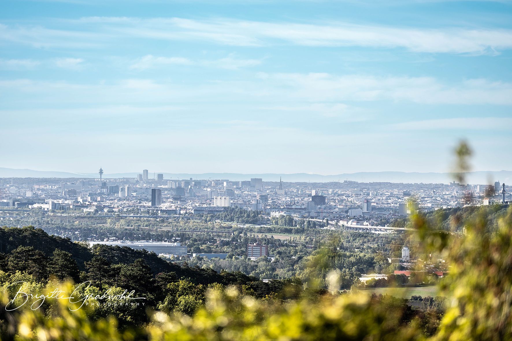 Panoramatický pohled na město s mnoha budovami a televizní věží v pozadí, obklopené zelenými kopci a stromy v popředí.