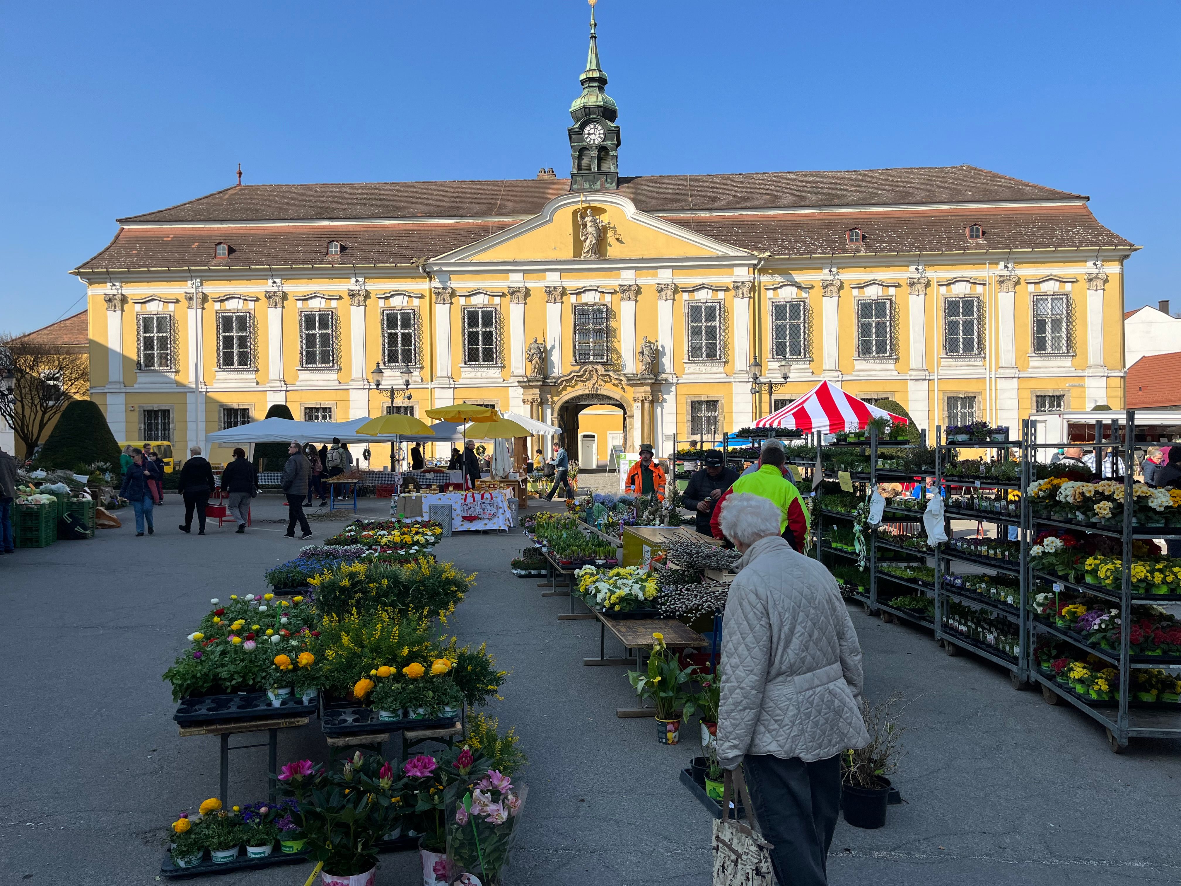 Týdenní trh ve Stockerau se stánky s květinami před žlutou barokní budovou.