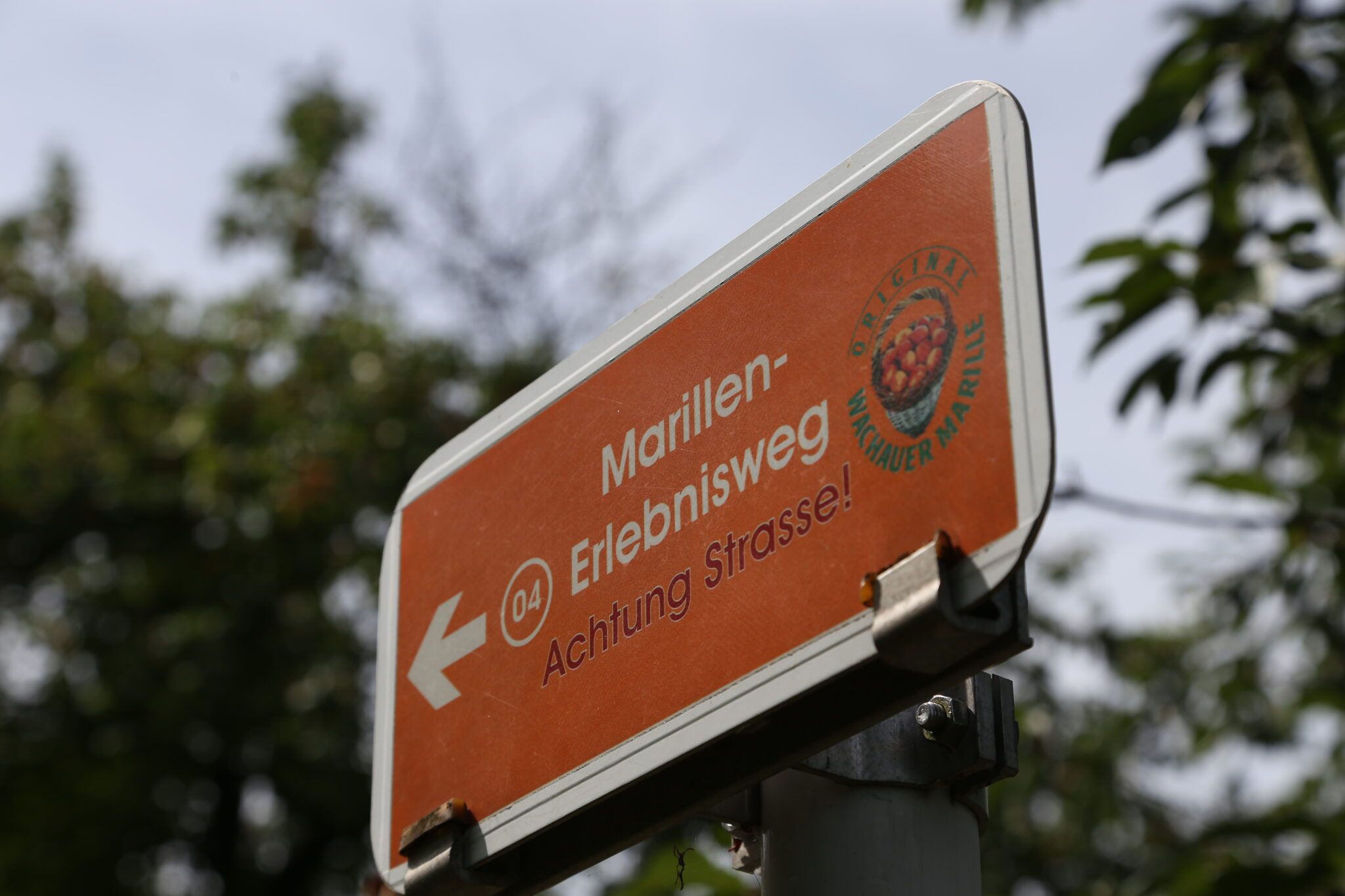 Oranžová značka s nápisem "Marillen-Erlebnisweg" a šipkou směřující doleva. Upozorňuje na silnici.