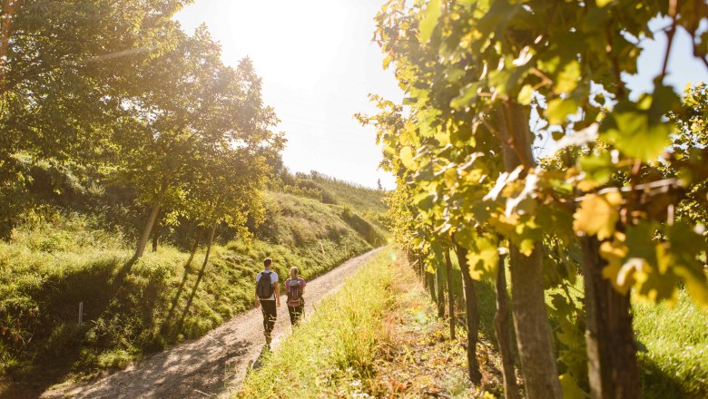 Celodenní turistika Kremstal, Krustetten, © Donau Niederösterreich/schwarz-koenig.at