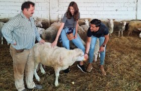 Visit to the Raser sheep cheese farm, Pachfurth, © Donau Niederösterreich, Neubauer