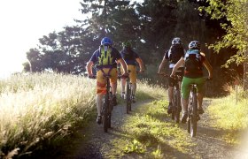 Guided bike tours, &copy; Wiener Alpen, Thomas Bartl, Mountainbikeguides.com