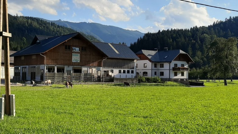 Organic farm Kleinsteg, © Brigitte Lengauer