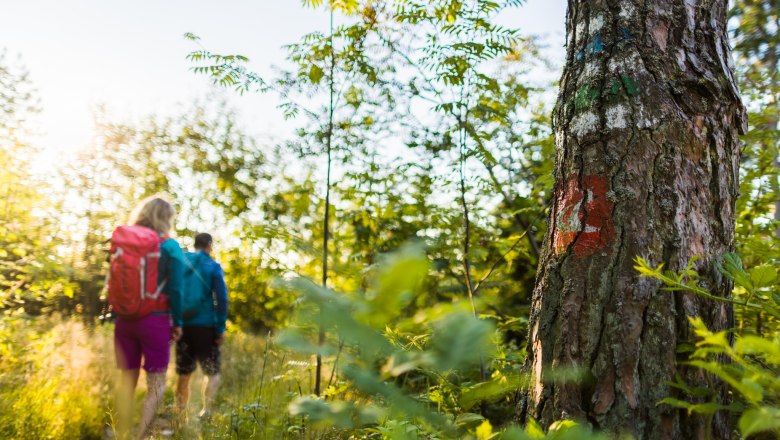 In the forest at Hutwisch, &copy; Wiener Alpen/Martin F&uuml;l&ouml;p