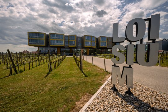 Láska k designu v LOISIUM Langenlois , © Maximilian Pawlikowski
