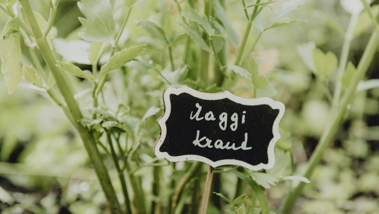 Detail zelen&yacute;ch bylinek s n&aacute;pisem "Maggikraut".