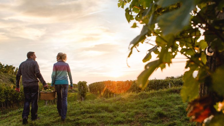 Dovolená na Dolnorakouské vinařské cestě, © Niederösterreich-Werbung/Doris Schwarz-König