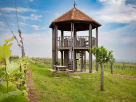 Rozhledna se majest&aacute;tně tyč&iacute; nad kopci vinařsk&eacute; oblasti, obklopen&aacute; bujnou vinnou r&eacute;vou, kter&aacute; se leskne v tepl&eacute;m slunečn&iacute;m světle. Zde se otev&iacute;r&aacute; &uacute;chvatn&yacute; v&yacute;hled na malebnou krajinu, kter&yacute; vyb&iacute;z&iacute; k posezen&iacute; a požitku.