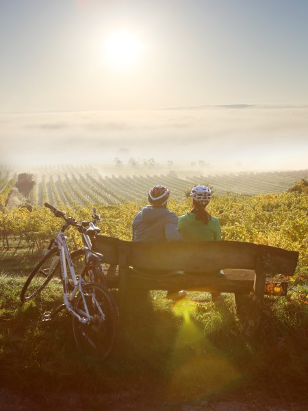 Vinařský zážitek, Traisental, © Niederösterreich Werbung/schwarz-könig.at