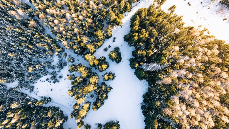 Nestelberg 17 (c)Marlene Schindlegger (70), &copy; Sabine Wieser