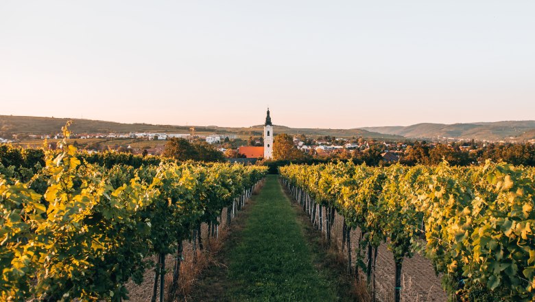 Langenlois, největší vinařské město v Rakousku, © Romeo Felsenreich