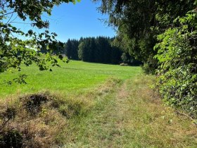 Am Waldrand, © www.zwalk.at