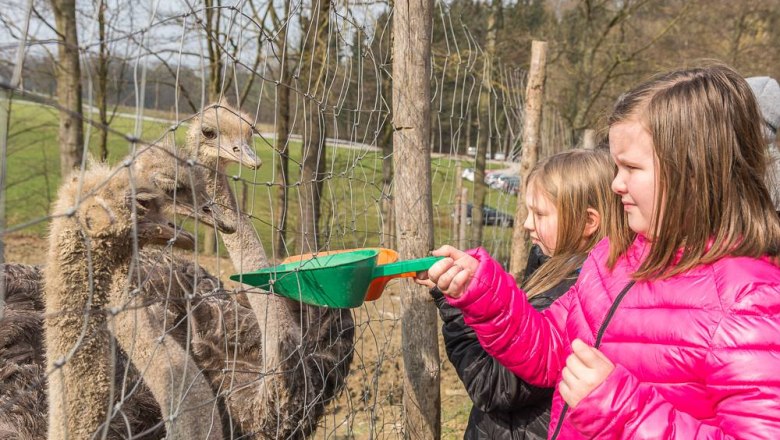 Krmen&iacute;, &copy; Otto Brandl