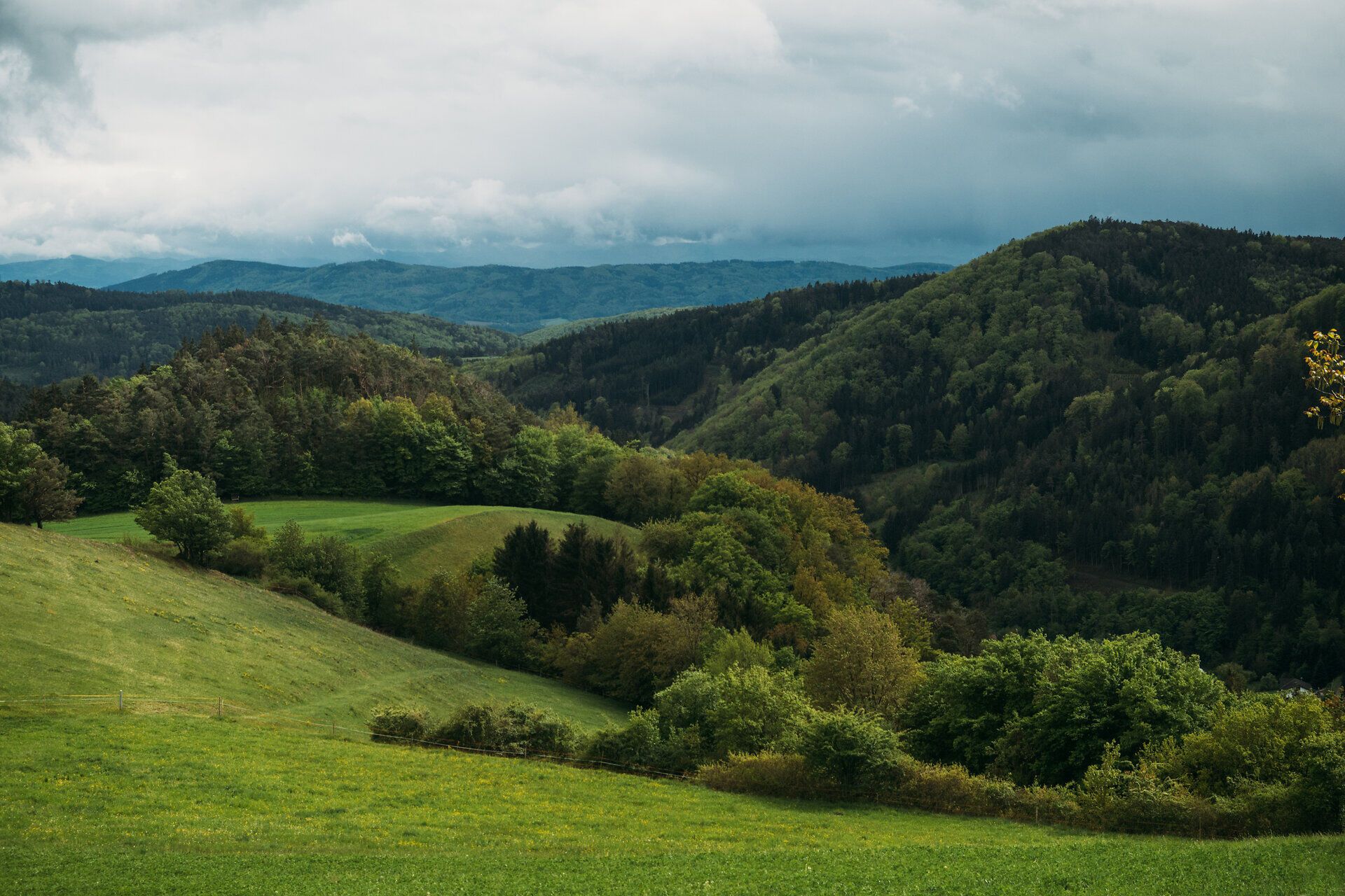 Kopce a bujné lesy lákají k nezapomenutelným výletům. Zde, kde příroda jen kvete, si návštěvníci mohou vychutnat čerstvý horský vzduch a odpočinout si.