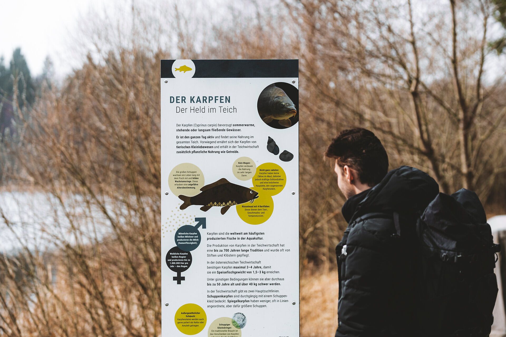 Turistická stezka u rybníka vybízí ke klidné zimní procházce uprostřed tiché přírody. Zasněžené stromy a třpytící se rybník vytvářejí klidnou atmosféru, která vybízí k setrvání.