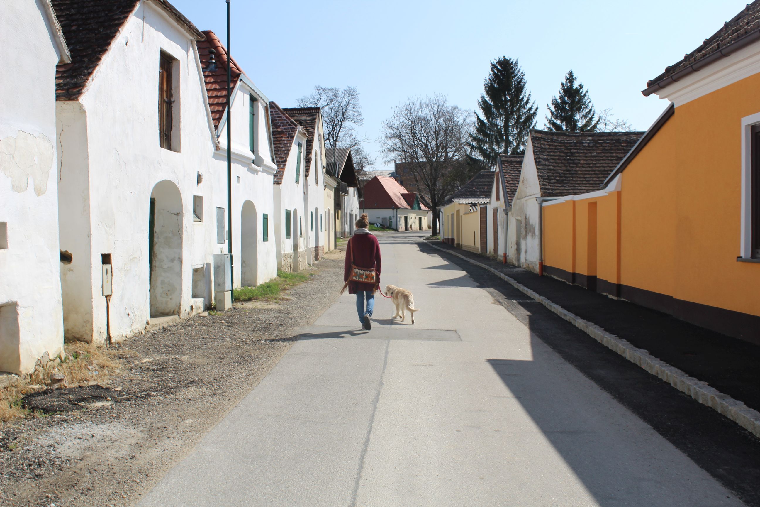 Osoba se psem ve sklepní uličce Mailberg, obklopená tradičními stavbami.