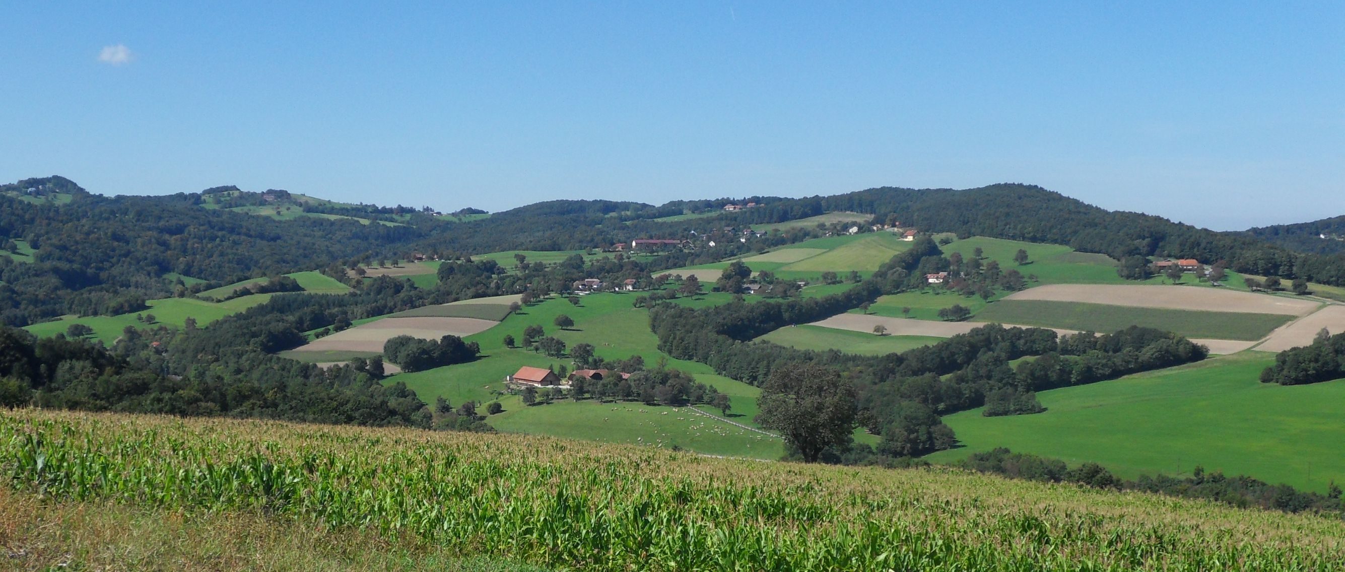 Krajina se zelenými poli a kopci pod modrou oblohou.