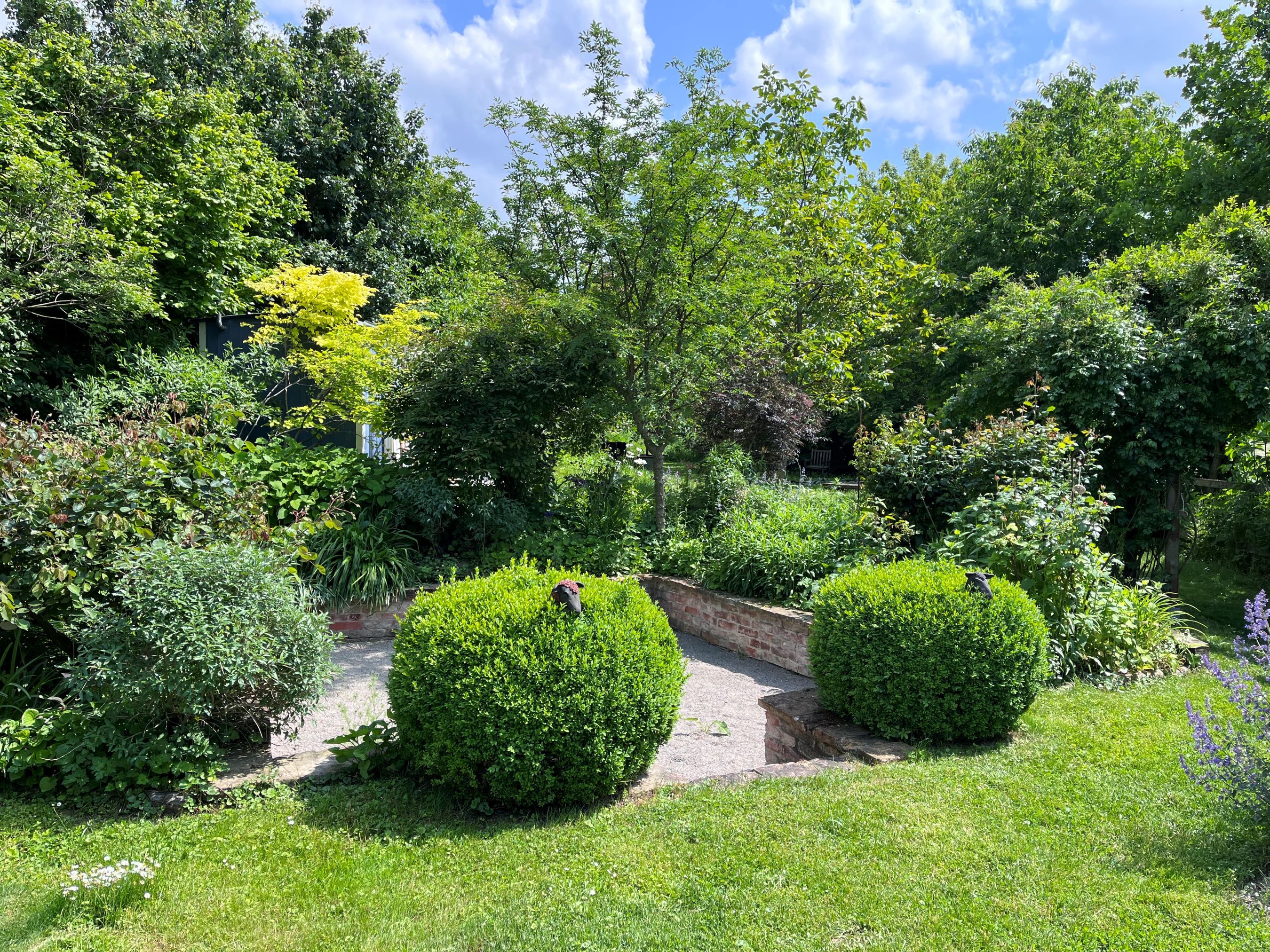 Zelená výstavní zahrada s keři, stromy a dlážděnou cestou.