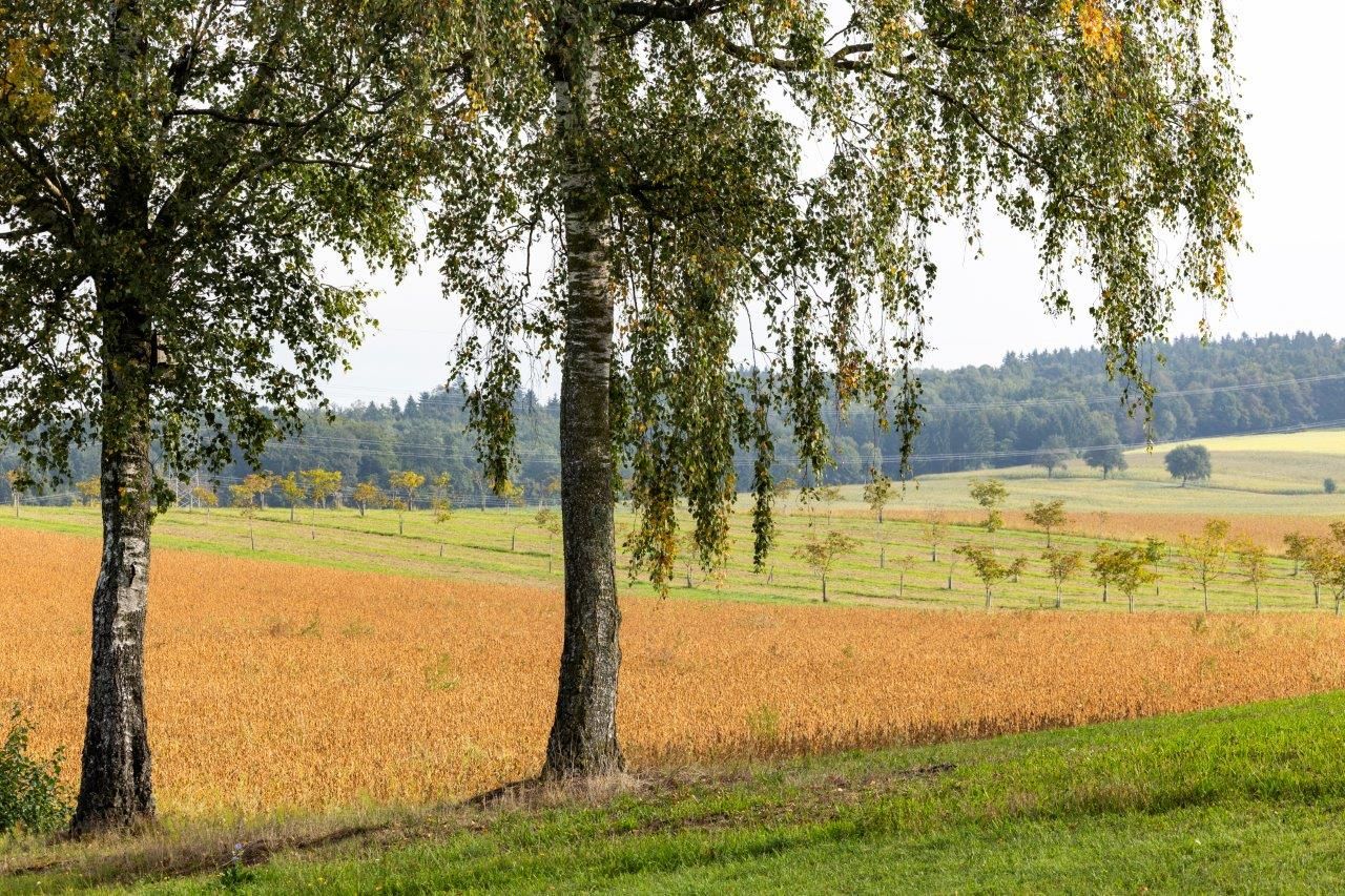 NUSSLAND, ořechovice, které zušlechťují