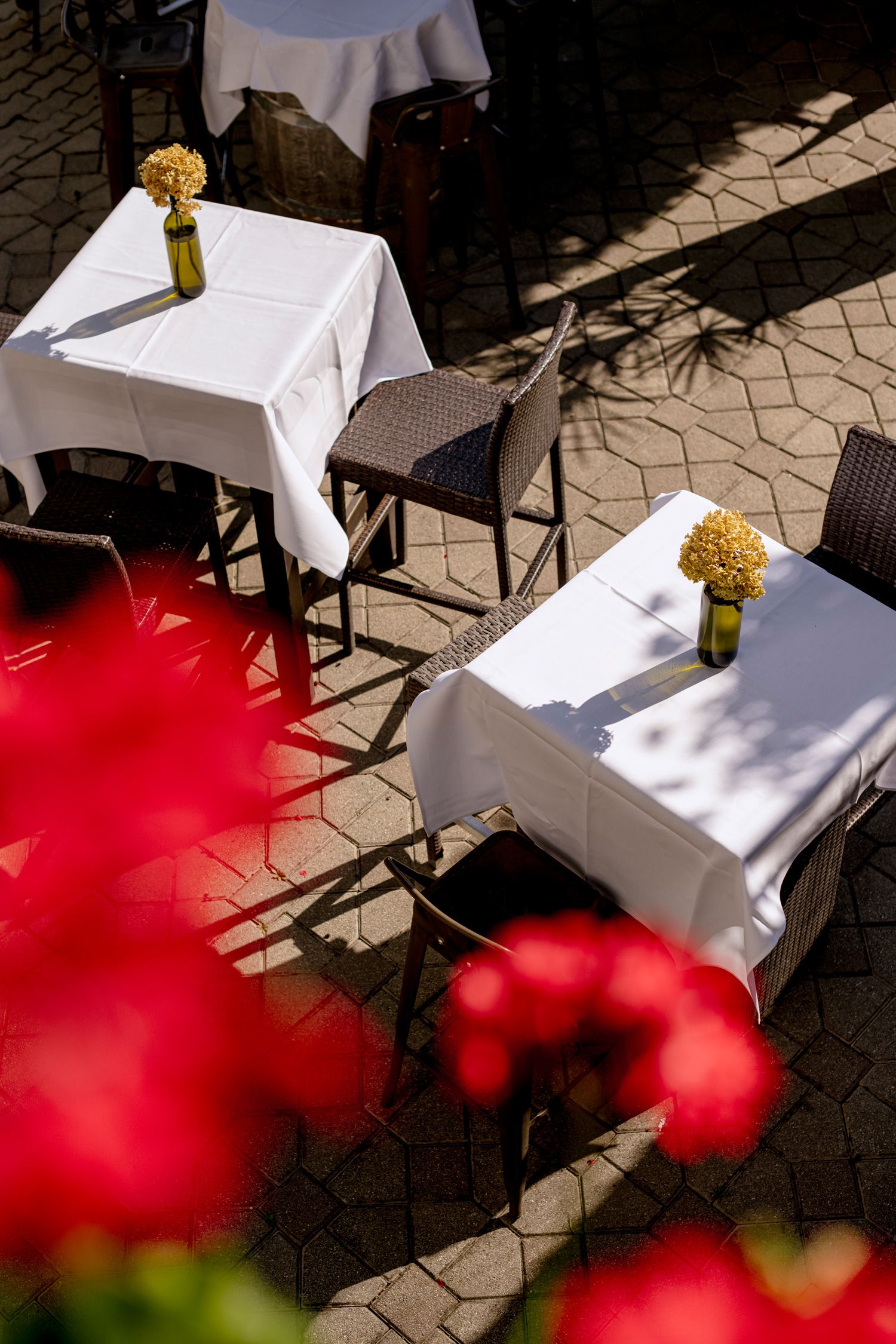 Gasthof Hoffmann, zahrada pro hosty 